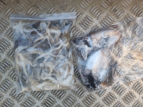 인천쭈꾸미낚시 (19).jpg