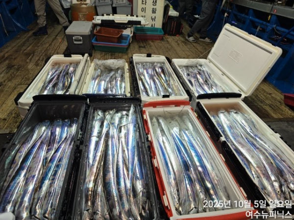 10월5일갈치 (51).jpg