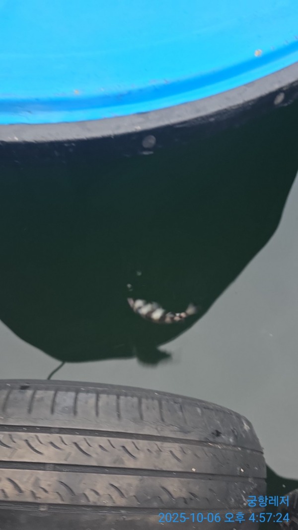 궁항레저_사진_20251006_13.jpg