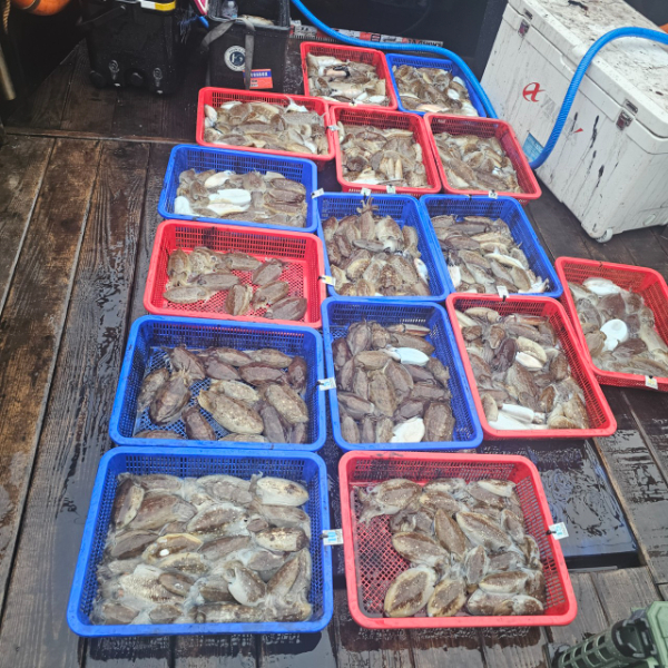 마검포 대한호(VIP)_사진_20251017_3.jpg