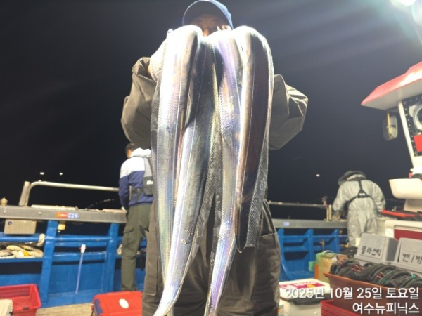 10월26일갈치 (6).jpg