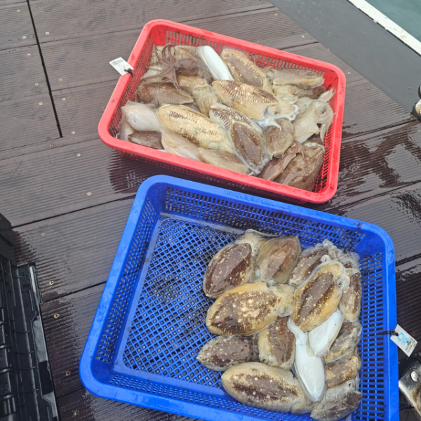 마검포 대한호(VIP)_사진_20251015_8.jpg