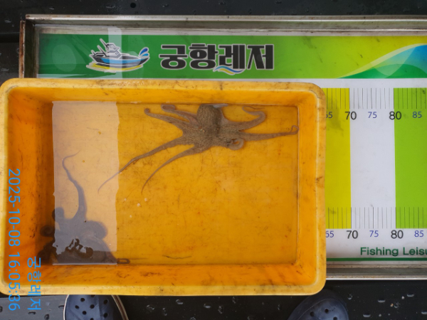 궁항레저_사진_20251008_9.jpg
