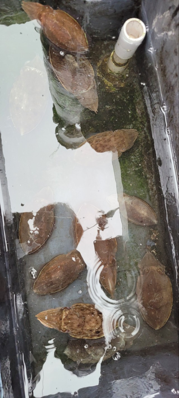 예지퀸호 농어외수질&어초낚시 경기인천권_사진_20251018_13.jpg