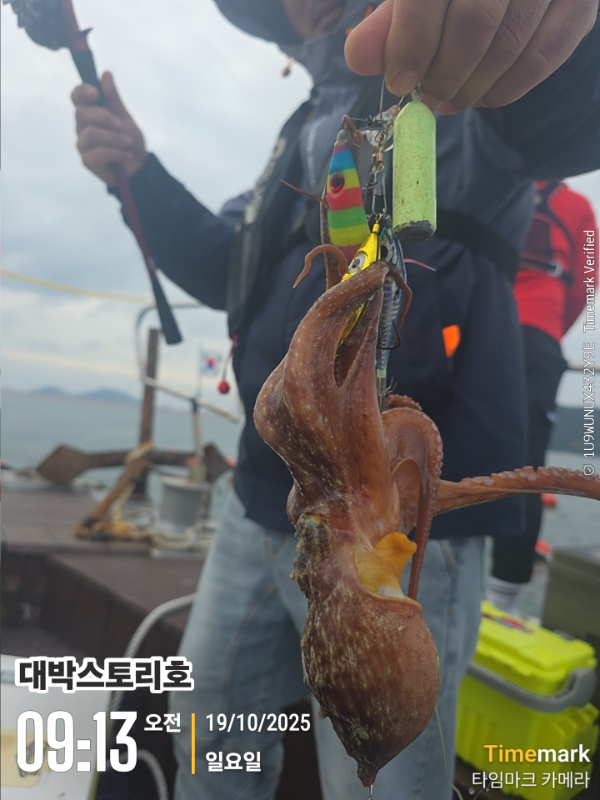 2025-10-19 09.13.23__(대박스토리호).jpg