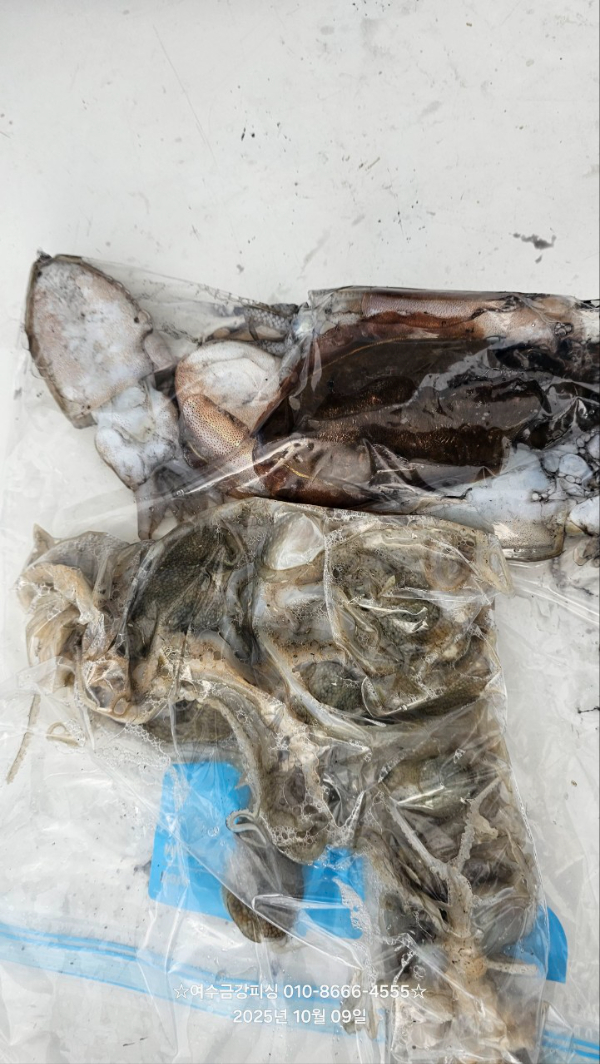 여수금강피싱_사진_20251009_14.jpg