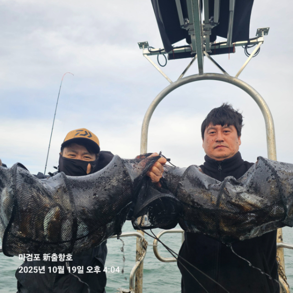 ꫛꫀꪝ✧‧˚ 태안 마검포 新출항호 .• _˚☀₊_사진_20251019_7.jpg