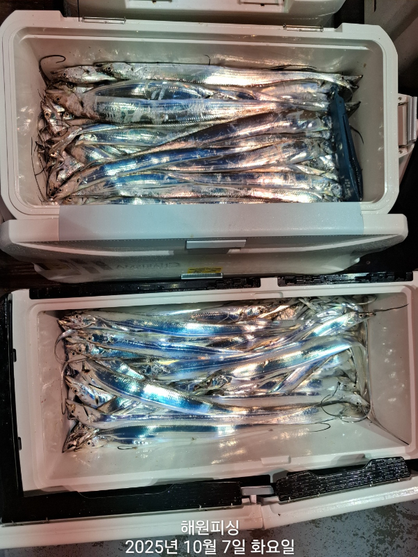1000028220.jpg