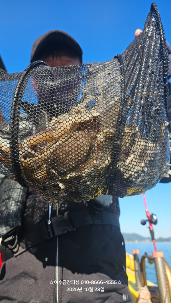 여수금강피싱_사진_20251028_17.jpg
