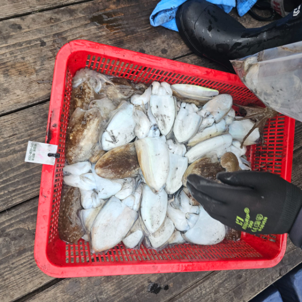 마검포 대한호(VIP)_사진_20251009_5.jpg