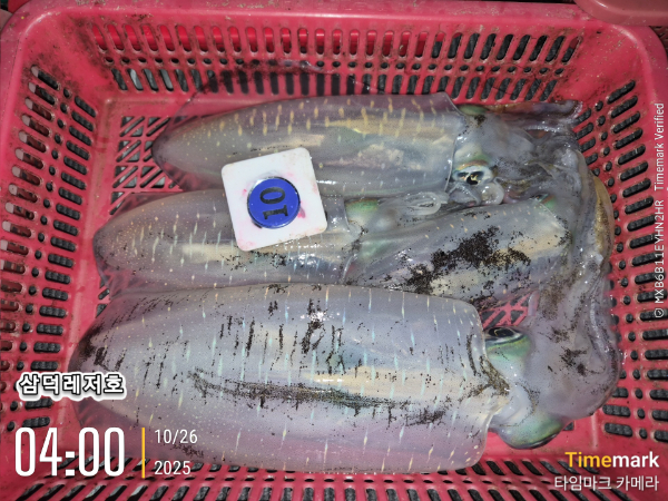 2025-10-26 04.00.27_.jpg