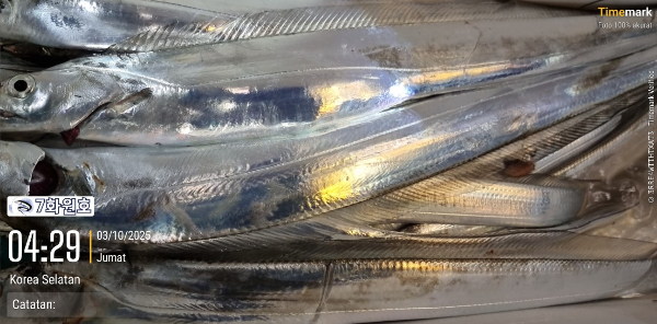 ED0241AC-C5B4-4D75-A2D4-519D373346D9.jpeg