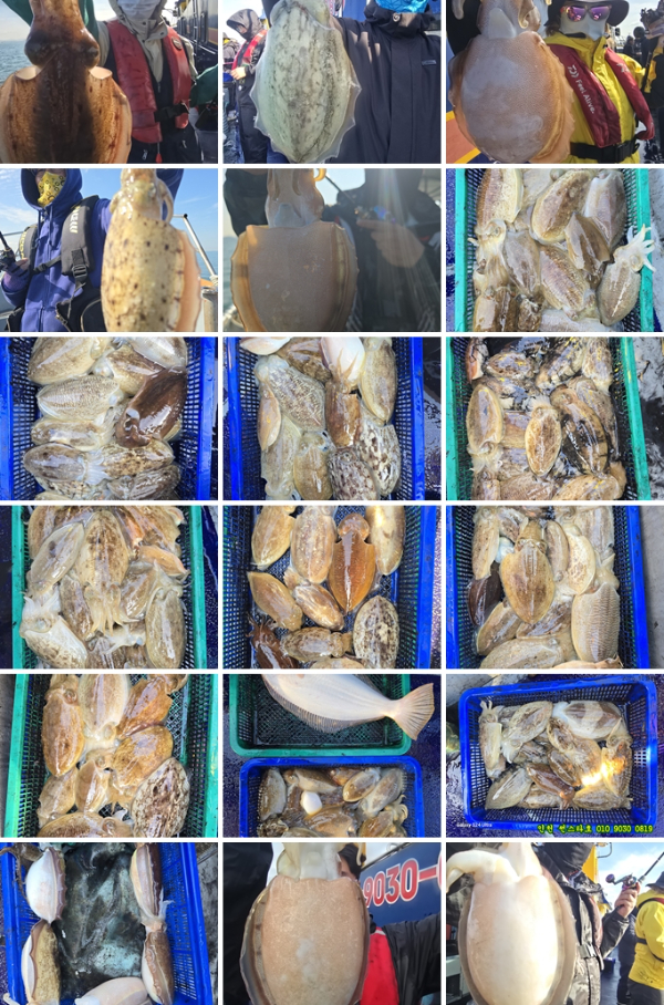 10월23 썬 (1)-tile.jpg