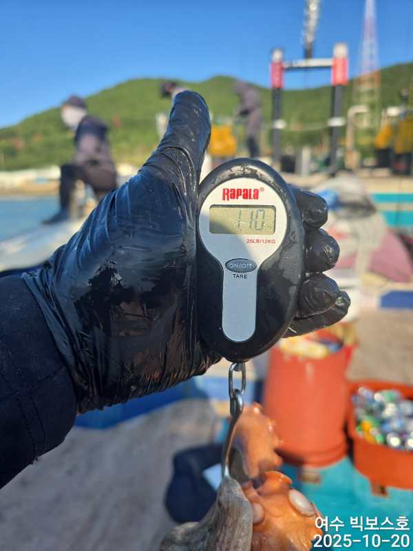 ♡ 여수 빅보스 ♡문어,갑오징어,쭈꾸미,타이라바(참돔)_사진_20251020_14.jpg