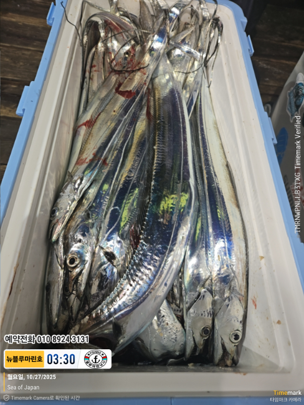 2025-10-27 03.30.43_Japan_(제목-뉴블루마린호)_(예약전화 010 8924 3131).jpg