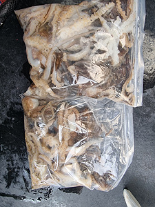 인천쭈꾸미낚시 (6).jpg