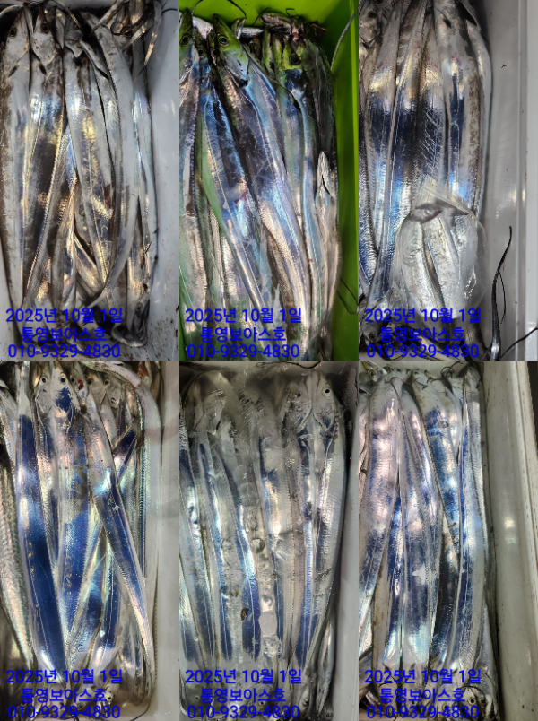 e154a4bf4a3ad84cc26e3abaf6298b9a.jpg