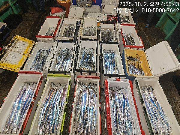 KakaoTalk_20251002_144303273_14.jpg