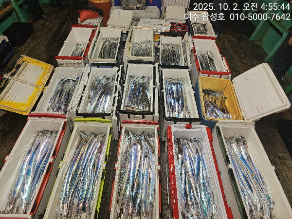 KakaoTalk_20251002_144303273_17.jpg