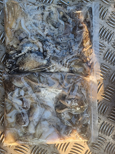 인천쭈꾸미낚시 (30).jpg