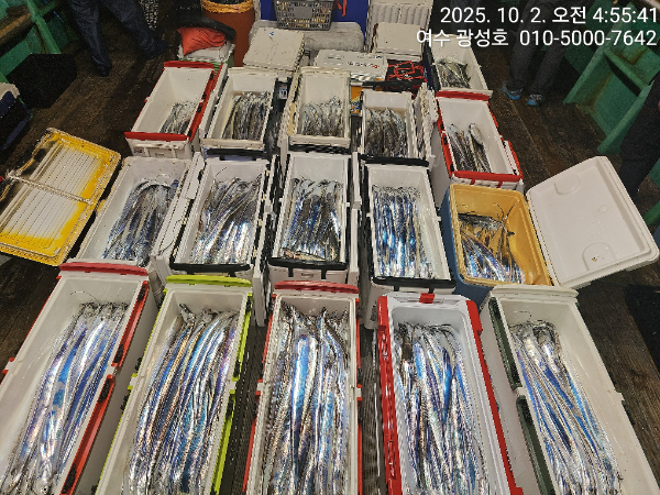 KakaoTalk_20251002_144303273_15.jpg