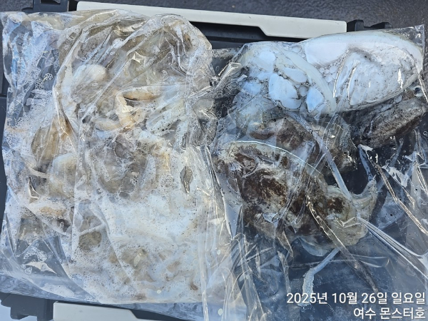 BandPhoto_2025_10_26_17_31_19 (1).jpg