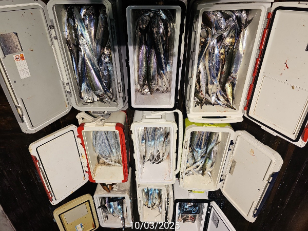 3720E5CE-06BA-4E23-82DA-7F4A92490EE9.jpeg