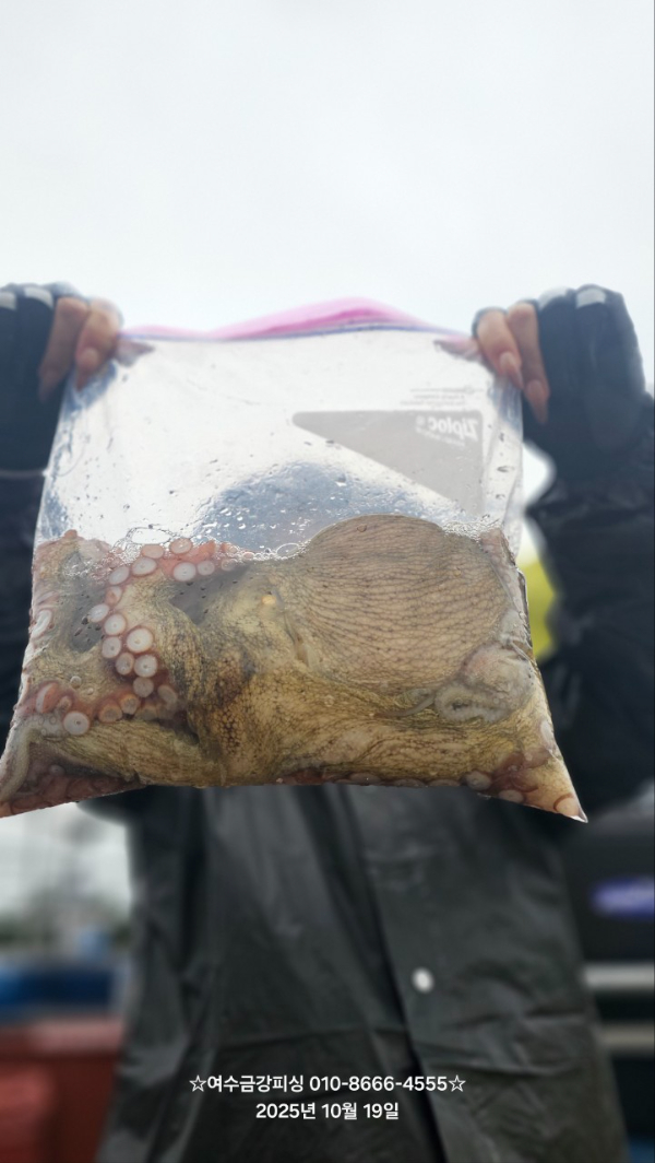 여수금강피싱_사진_20251019_31.jpg