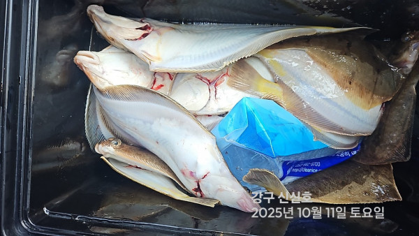 신신낚시 강구점 신신호_사진_20251012_10.jpg