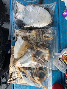 인천쭈꾸미낚시 (12).jpg