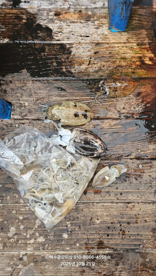 여수금강피싱_사진_20251025_11.jpg