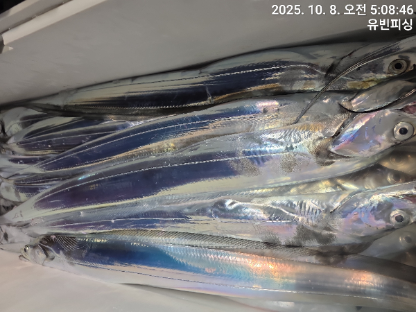 KakaoTalk_20251008_110817311_01.jpg