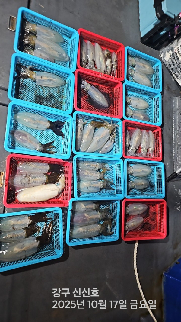 신신낚시 강구점 신신호_사진_20251018_9.jpg