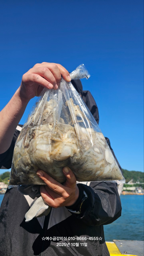 여수금강피싱_사진_20251011_4.jpg