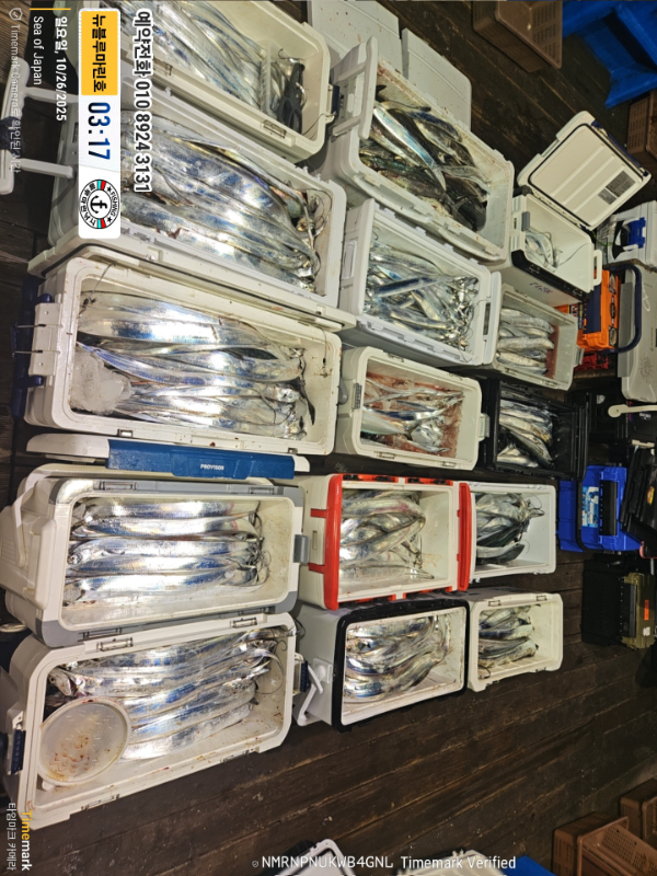 2025-10-26 03.17.28_Japan_(제목-뉴블루마린호)_(예약전화 010 8924 3131).jpg