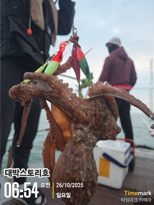 2025-10-26 06.54.00__(대박스토리호).jpg