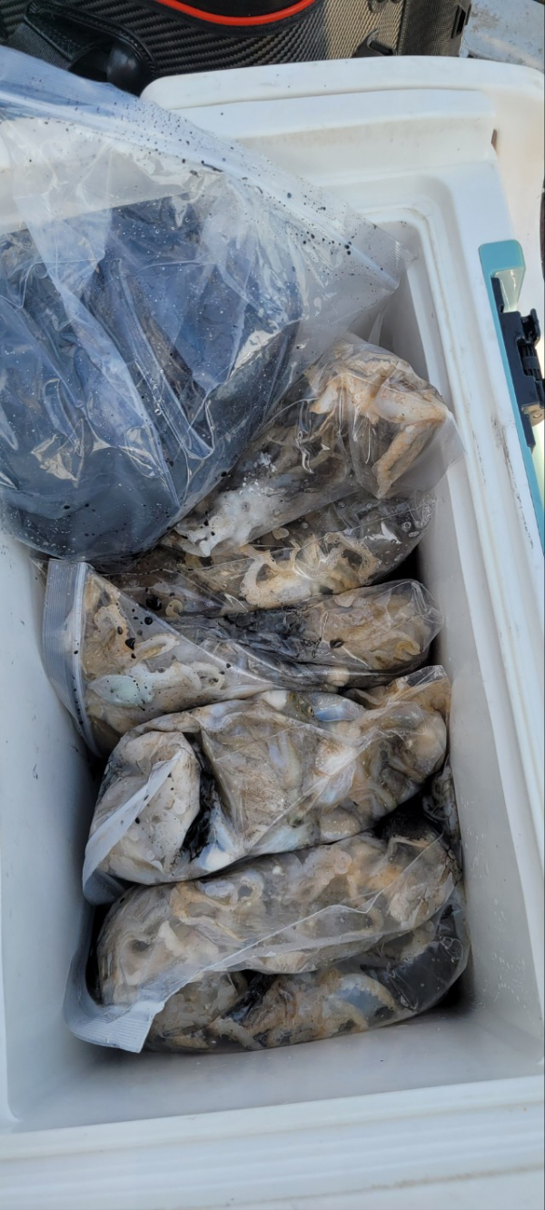 예지퀸호 농어외수질&어초낚시 경기인천권_사진_20251001_17.jpg