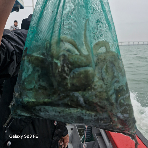 인천쭈꾸미낚시 (3).jpg