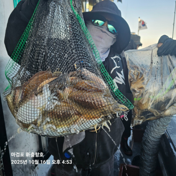 ꫛꫀꪝ✧‧˚ 태안 마검포 新출항호 .• _˚☀₊_사진_20251016_5.jpg