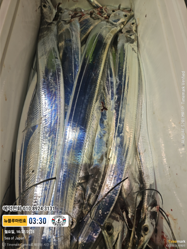 2025-10-27 03.30.51_Japan_(제목-뉴블루마린호)_(예약전화 010 8924 3131).jpg