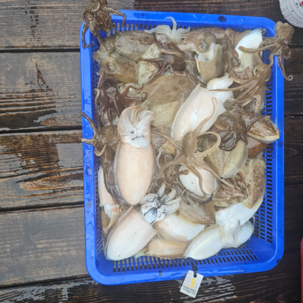 마검포 대한호(VIP)_사진_20251015_4.jpg