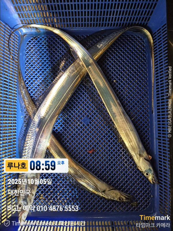 2025-10-05 08.59.09_대한민국_(제목-루나호)_(비고-예약 010 4876 5553).jpg