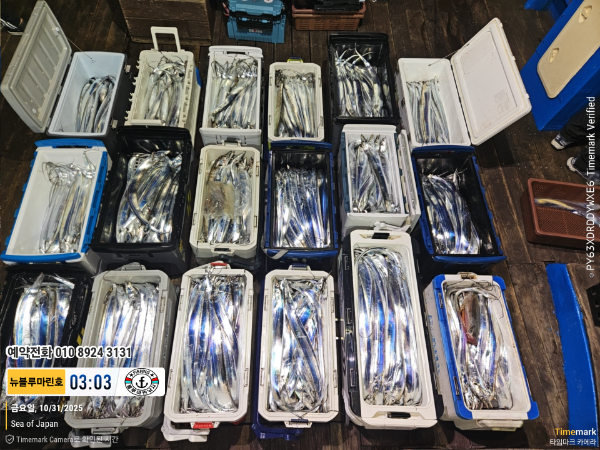 2025-10-31 03.03.54_Japan_(제목-뉴블루마린호)_(예약전화 010 8924 3131).jpg