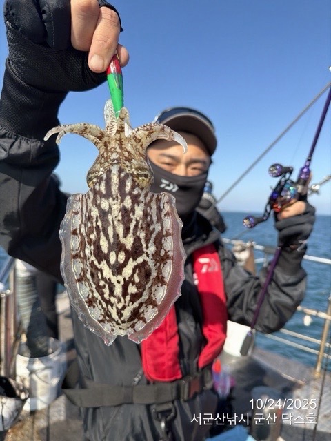 군산 선상낚시, 바다낚시 출조 전문 ☆서군산낚시☆_사진_20251024_14.jpg