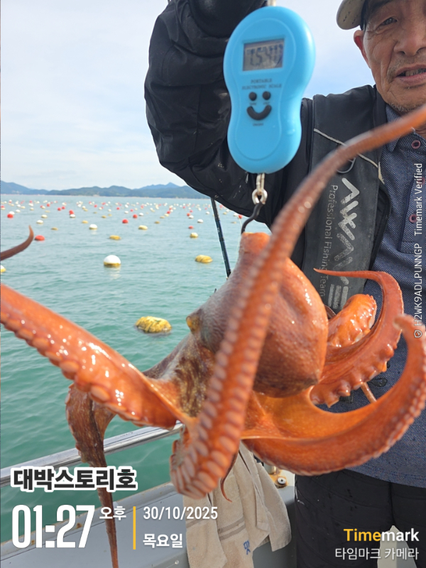 2025-10-30 01.27.50__(대박스토리호).jpg