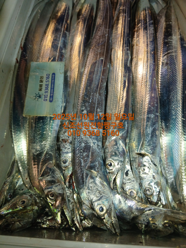KakaoTalk_20251012_065148435_04.jpg