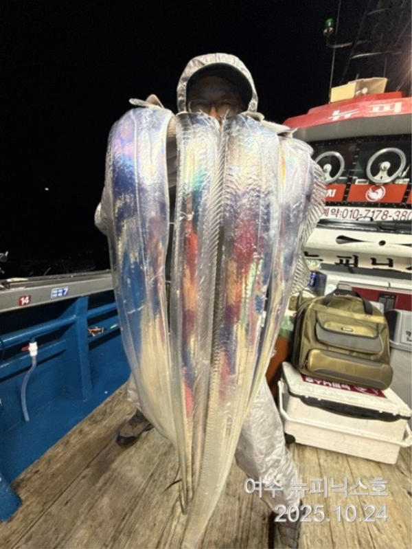 큰10월25일갈치 (22).jpg