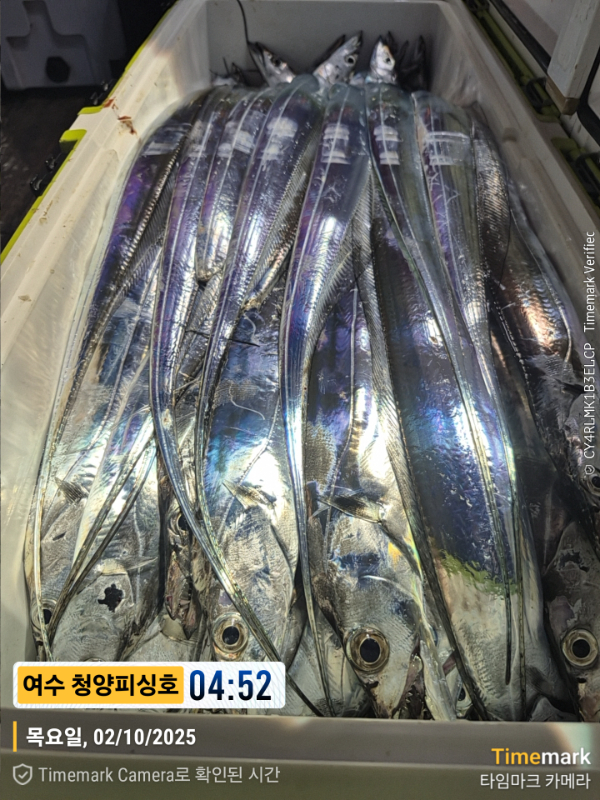 2025-10-02 04.52.03__(제목-여수 청양피싱호).jpg