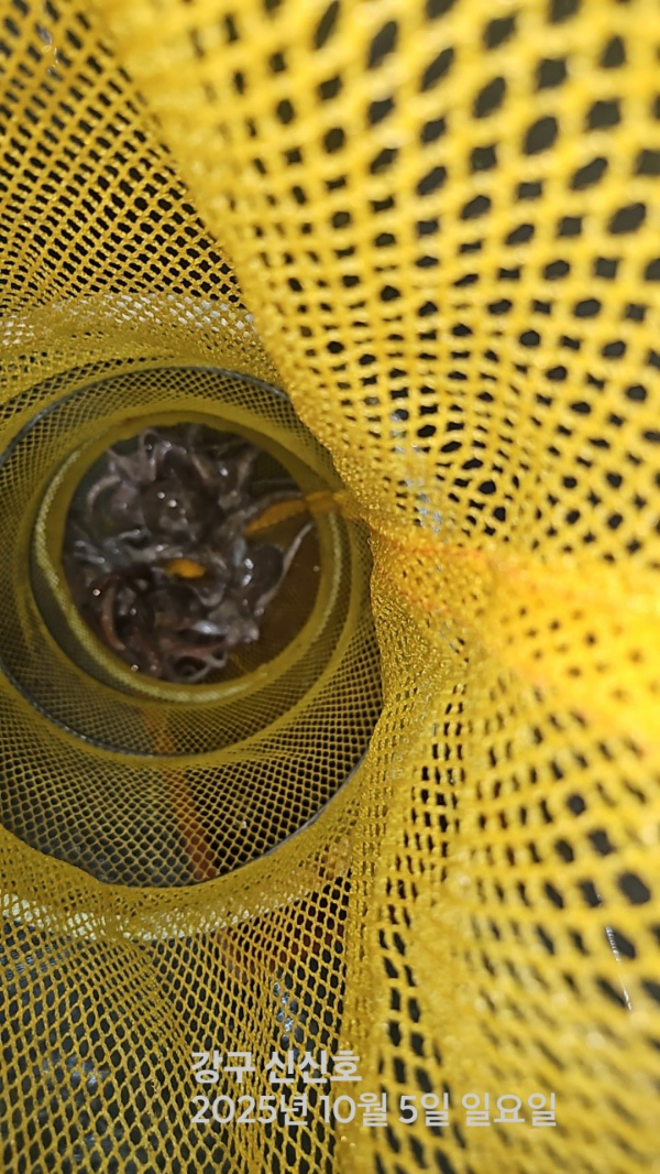 신신낚시 강구점 신신호_사진_20251005_11.jpg