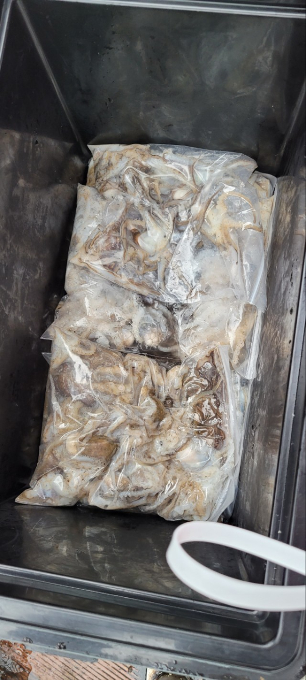 예지퀸호 농어외수질&어초낚시 경기인천권_사진_20251016_10.jpg